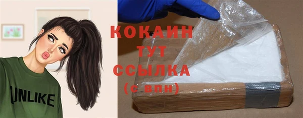 гидра Липки