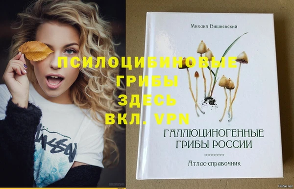 мескалин Майский