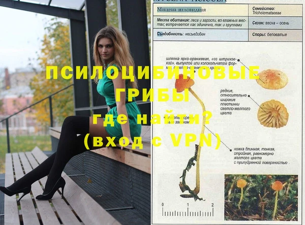 гидра Липки